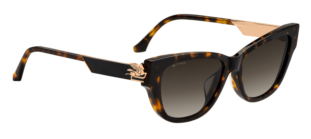ETRO 0063/F/S Cat Eye Sunglasses | Maverick & Wolf