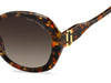 Marc Jacobs Marc 763/S Red Havana/Brown Shaded Gradient #colour_red-havana-brown-shaded-gradient