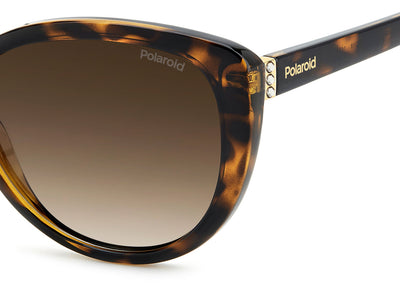 Polaroid PLD 4176/S/X Havana/Brown Shaded Polarised Mirror #colour_havana-brown-shaded-polarised-mirror