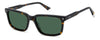 Polaroid PLD 4174/S/X Havana/Green Polarised #colour_havana-green-polarised