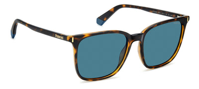 Polaroid PLD 6226/S Havana/Blue Polarised #colour_havana-blue-polarised