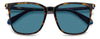 Polaroid PLD 6226/S Havana/Blue Polarised #colour_havana-blue-polarised