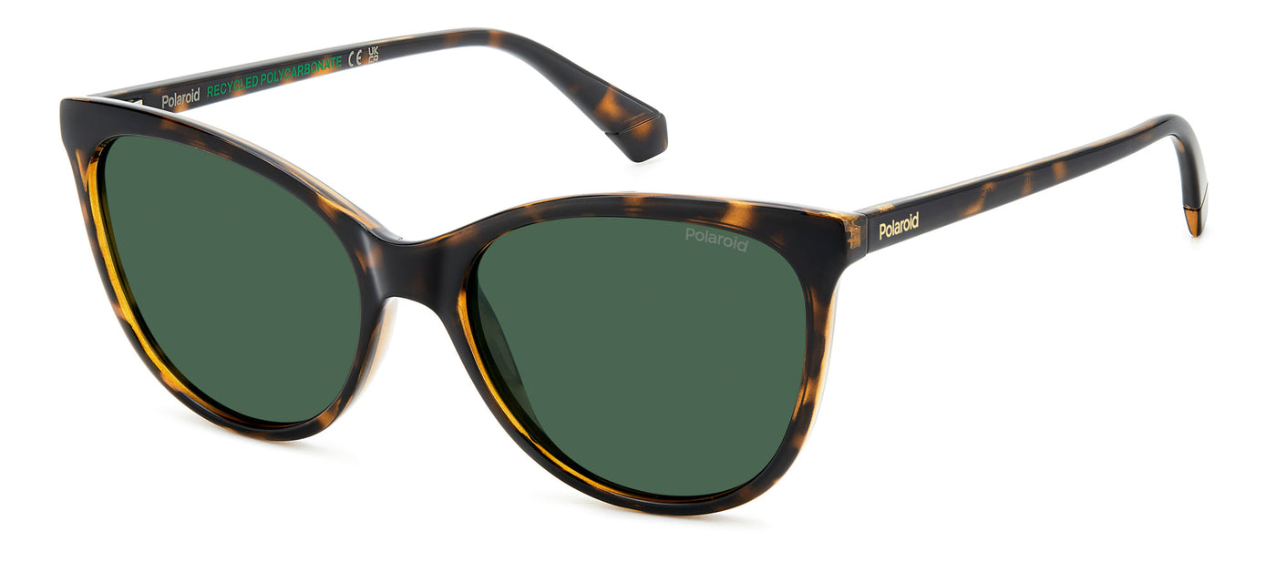 Polaroid PLD 4179/S Havana/Green Polarised #colour_havana-green-polarised