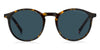 Tommy Hilfiger TH2267/S Havana/Blue #colour_havana-blue