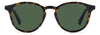 Polaroid PLD 4191/S Havana/Green Polarised #colour_havana-green-polarised