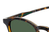 Polaroid PLD 4191/S Havana/Green Polarised #colour_havana-green-polarised
