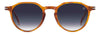 David Beckham DB1217/S #colour_brown-havana-dark-blue-gradient