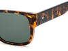Prive Revaux PR3013/G/S #colour_havana-green-green