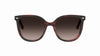 #colour_burgundy-horn-brown-gradient