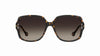 #colour_havana-brown-gradient