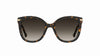 #colour_havana-brown-gradient