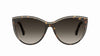 #colour_havana-white-brown-gradient