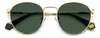 Polaroid PLD6171/S Gold/Green #colour_gold-green