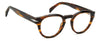 David Beckham DB7114 Brown Horn #colour_brown-horn