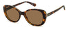 Polaroid PLD4154/S/X Havana/Bronze #colour_havana-bronze