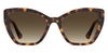 Moschino MOS155/S Havana/Brown Gradient #colour_havana-brown-gradient