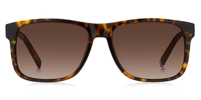 Tommy Hilfiger TH2073/S Havana/Brown Gradient #colour_havana-brown-gradient