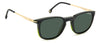 #colour_olive-green-polarised