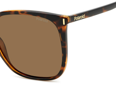 Polaroid PLD 6218/S Havana/Brown Polarised #colour_havana-brown-polarised