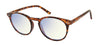 Prive Revaux The Maestro/BB Brown Havana #colour_brown-havana