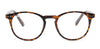 Prive Revaux The Maestro/BB Brown Havana #colour_brown-havana