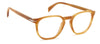 David Beckham DB1106 Havana Honey #colour_havana-honey