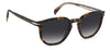 David Beckham DB1099/S Havana/Grey Gradient #colour_havana-grey-gradient