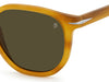 David Beckham DB1099/S Havana-Honey/Green #colour_havana-honey-green