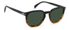 David Beckham DB1099/S Brown Striped Havana/Green #colour_brown-striped-havana-green