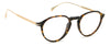David Beckham DB1105 Havana-Gold #colour_havana-gold