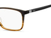 Boss 1436 Brown Horn #colour_brown-horn