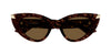 #colour_havana-brown