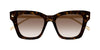 #colour_havana-brown-gradient