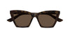 #colour_havana-brown