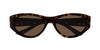 #colour_havana-brown