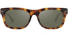 #colour_classic-tortoise-mineral-silver-polarised