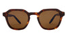 #colour_shiny-red-havana-brown