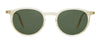 #colour_shiny-beige-green