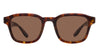 #colour_shiny-dark-havana-brown