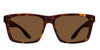 #colour_shiny-red-havana-brown