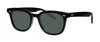 #colour_shiny-black-green-organic