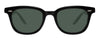#colour_shiny-black-green-organic