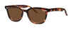 #colour_shiny-red-havana-brown-organic