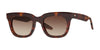 #colour_shiny-red-havana-brown-gradient