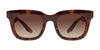 #colour_shiny-red-havana-brown-gradient