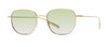 #colour_shiny-endura-gold-green