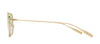 #colour_shiny-endura-gold-green