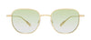 #colour_shiny-endura-gold-green