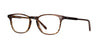 #colour_brandy-tortoise