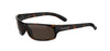 #colour_shiny-dark-tortoise-brown-polarised